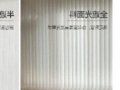 新型垂直竖百叶电动梦幻帘